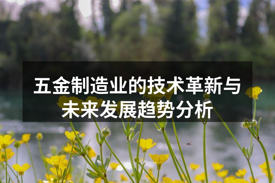 五金制造业的技术革新与未来发展趋势分析