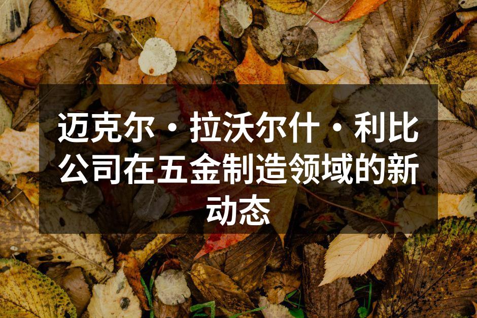 迈克尔·拉沃尔什·利比公司在五金制造领域的新动态