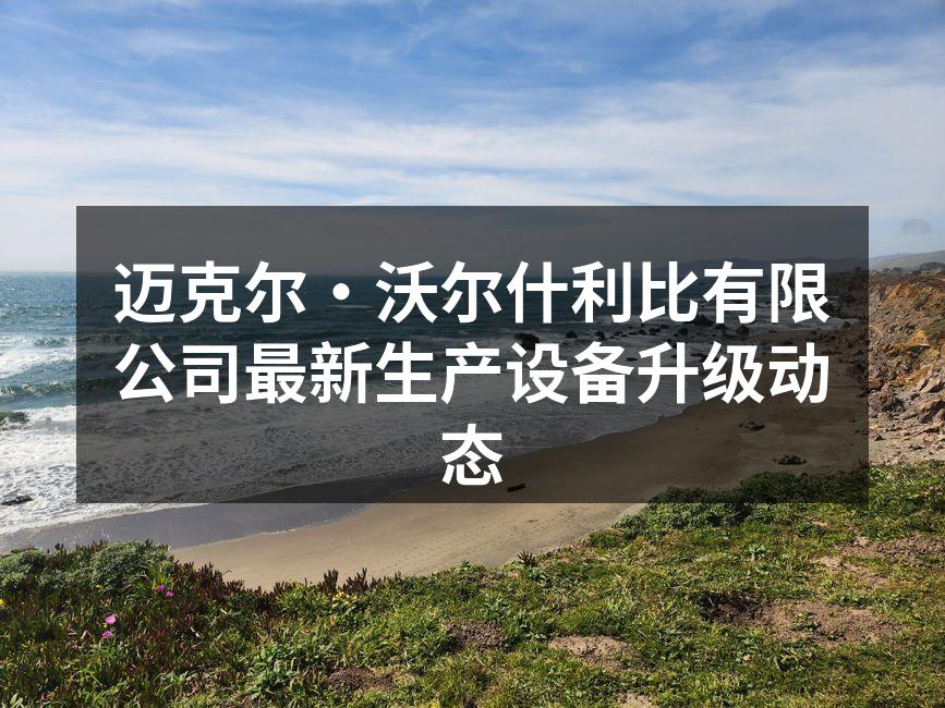 迈克尔·沃尔什利比有限公司最新生产设备升级动态