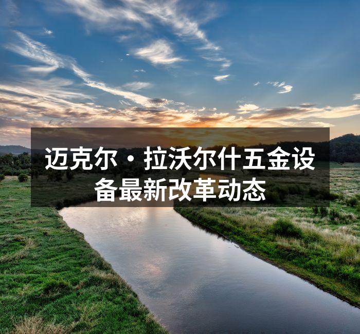 迈克尔·拉沃尔什五金设备最新改革动态