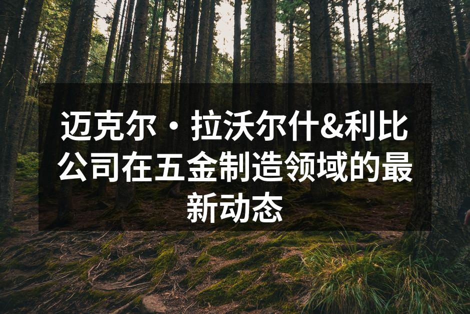 迈克尔·拉沃尔什&利比公司在五金制造领域的最新动态